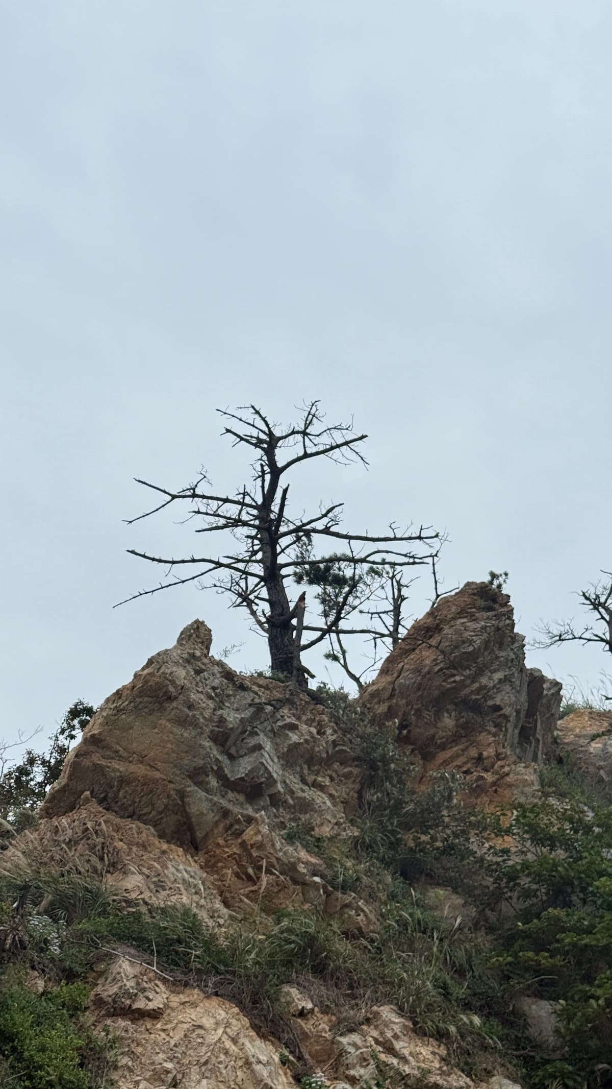 삼봉해수욕장 - 태안
