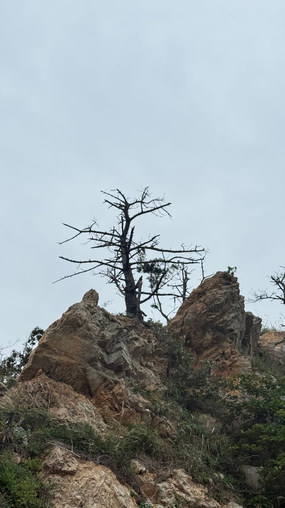 삼봉해수욕장 - 태안